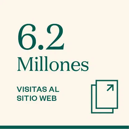 6.2 MILLONES VISITAS AL SITIO WEB